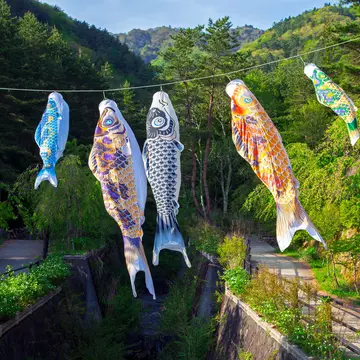 Flying carp streamers to mark Children's Day at the end of Golden Week in Japan. LilyRosePhotos/Shutterstock