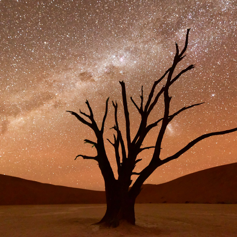 NabibRand Nature Reserve in Namibia