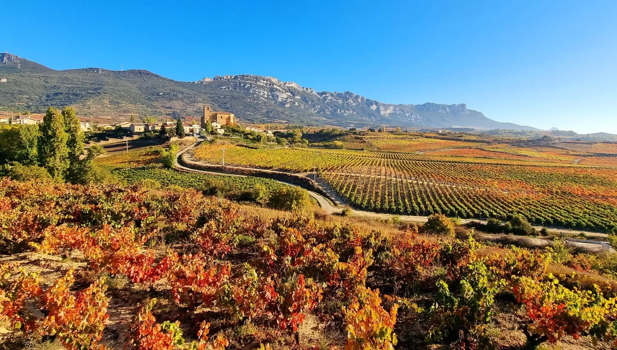 Autumn in the Rioja region of Spain. Jesus Ignacio Bravo Soler/Shutterstock
