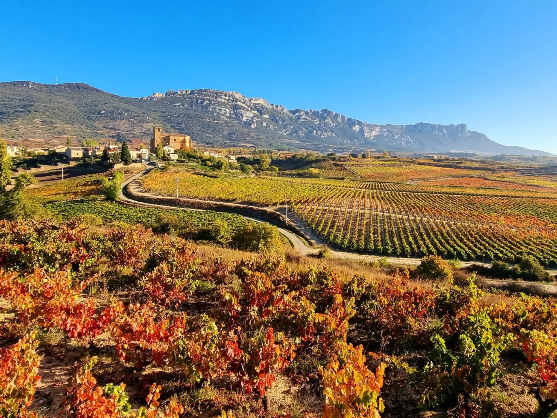 Autumn in the Rioja region of Spain. Jesus Ignacio Bravo Soler/Shutterstock