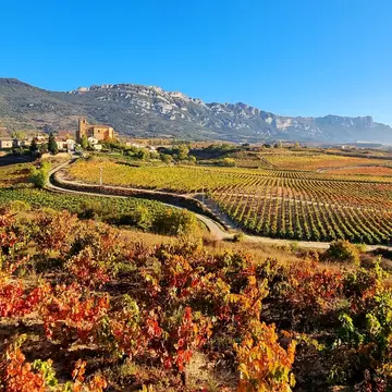 Autumn in the Rioja region of Spain. Jesus Ignacio Bravo Soler/Shutterstock
