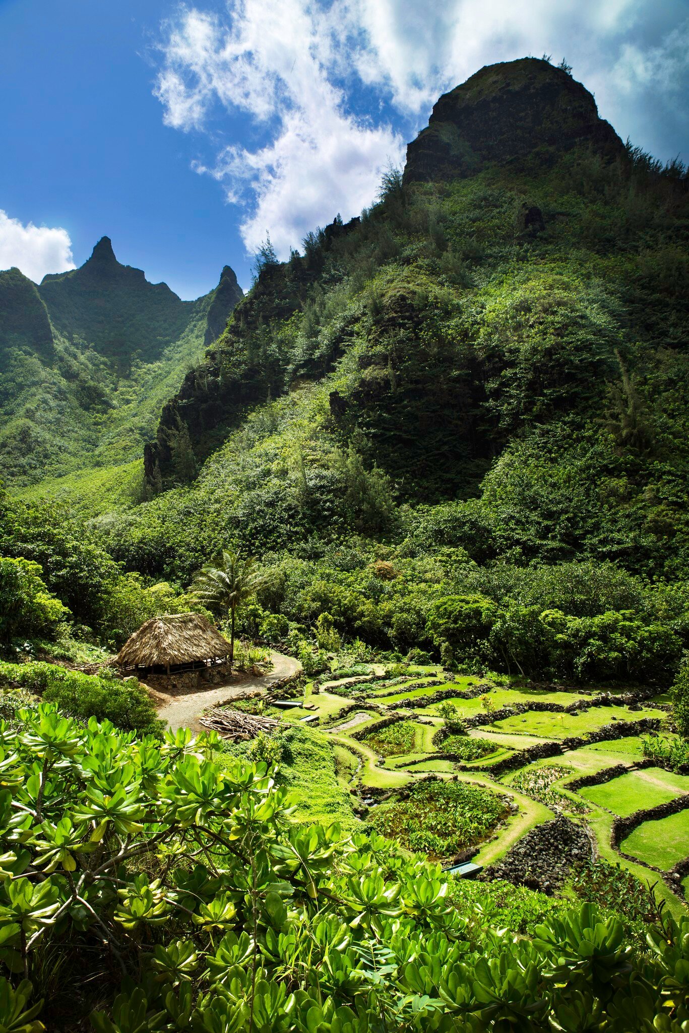 Limahuli garden in Kauai, Hawaii.