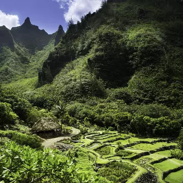 Limahuli garden in Kauai, Hawaii.