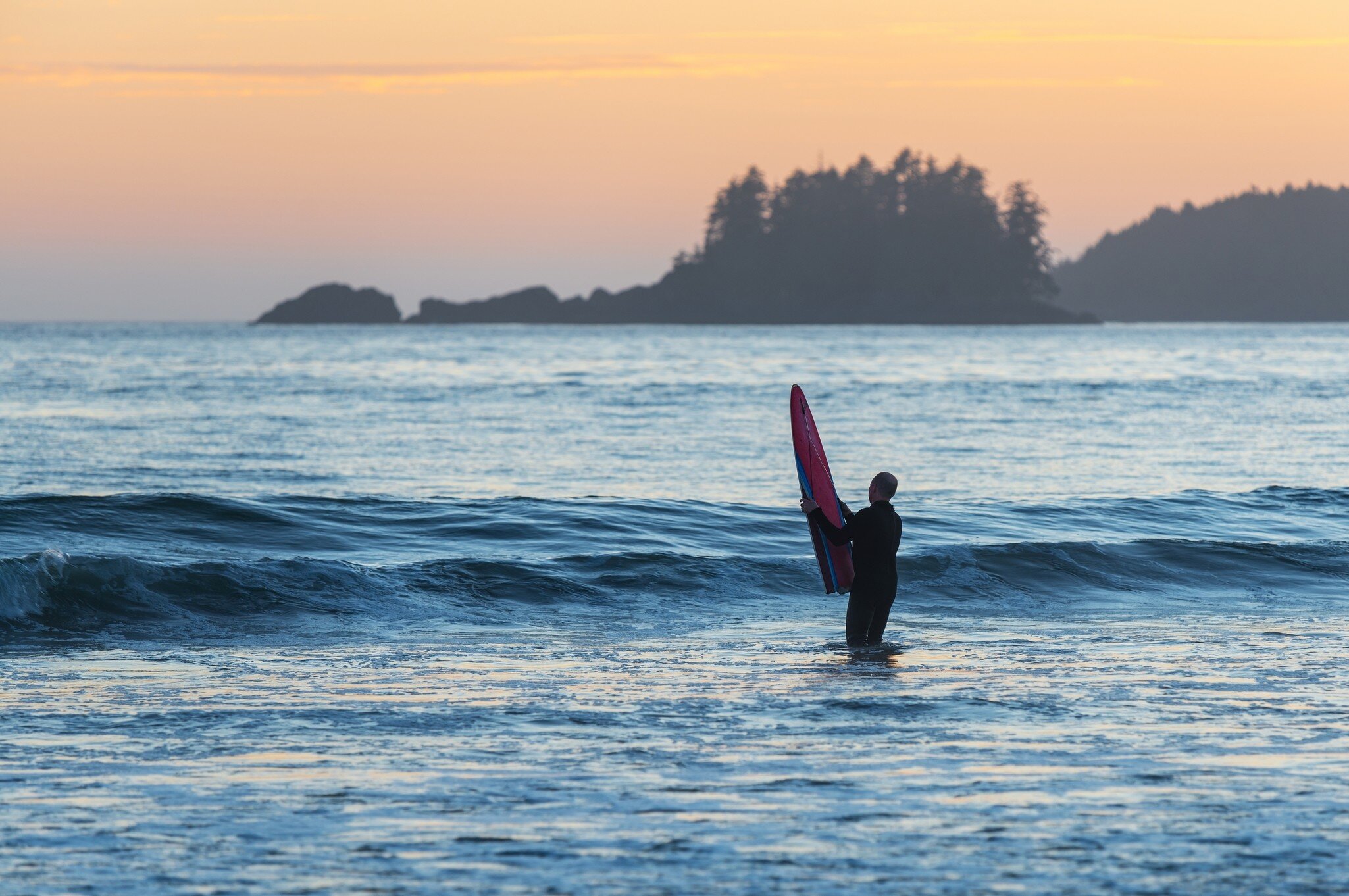 Surfer in waves with surf board at sunset on Chesterman Beach, Tofino, Vancouver Island, Canada