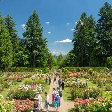 Visitors at the International Rose Test Garden in Portland, Oregon