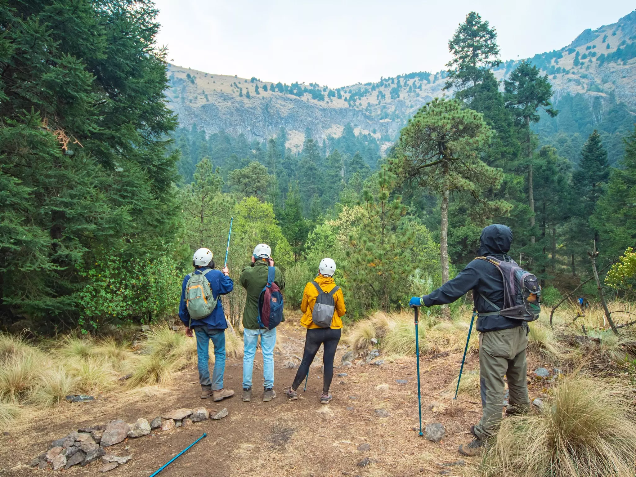 Hikers wearing helmets are seen from behind as they admire the view from an outlook on a mountain.