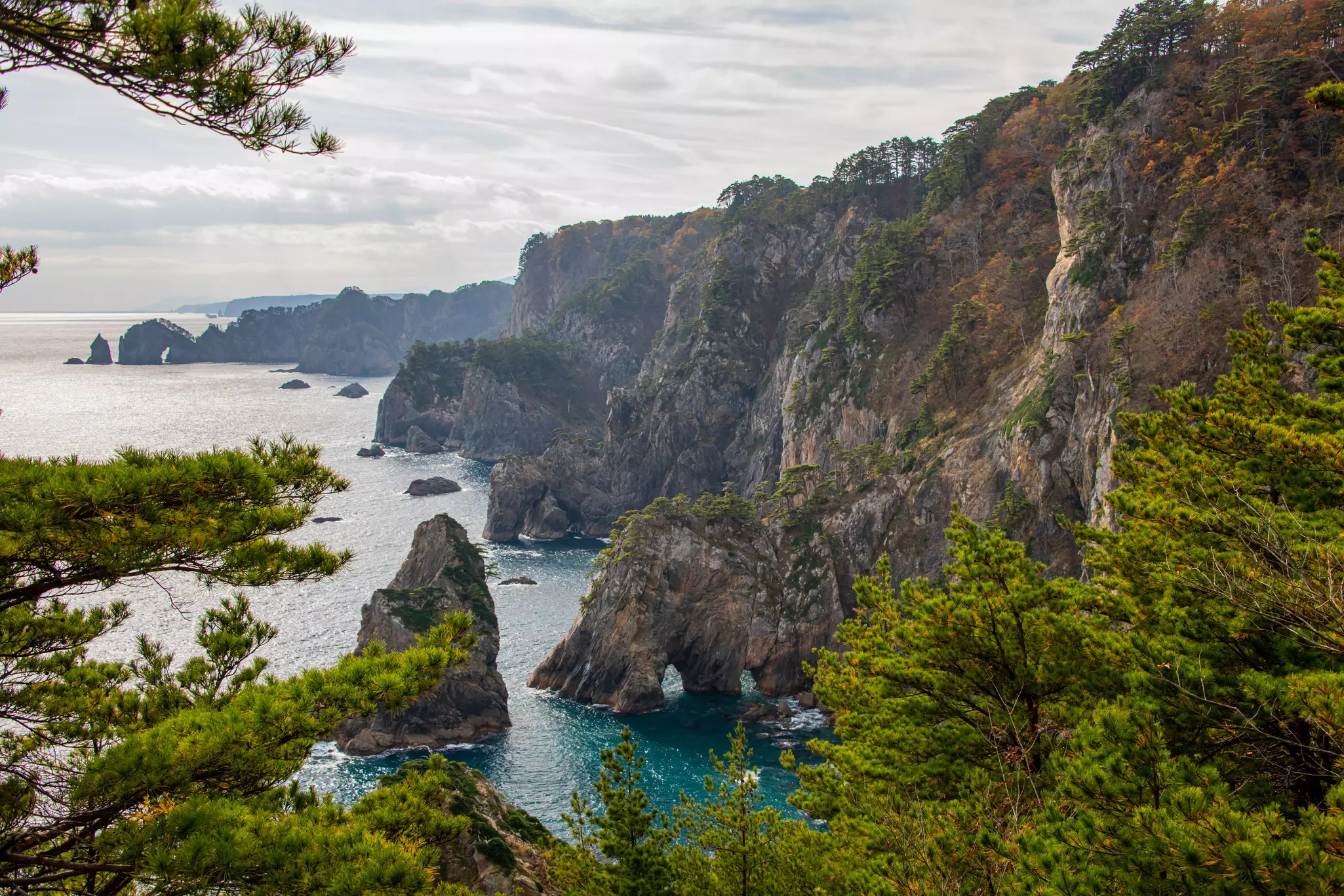 A jagged rocky coastline with forest-covered cliffs