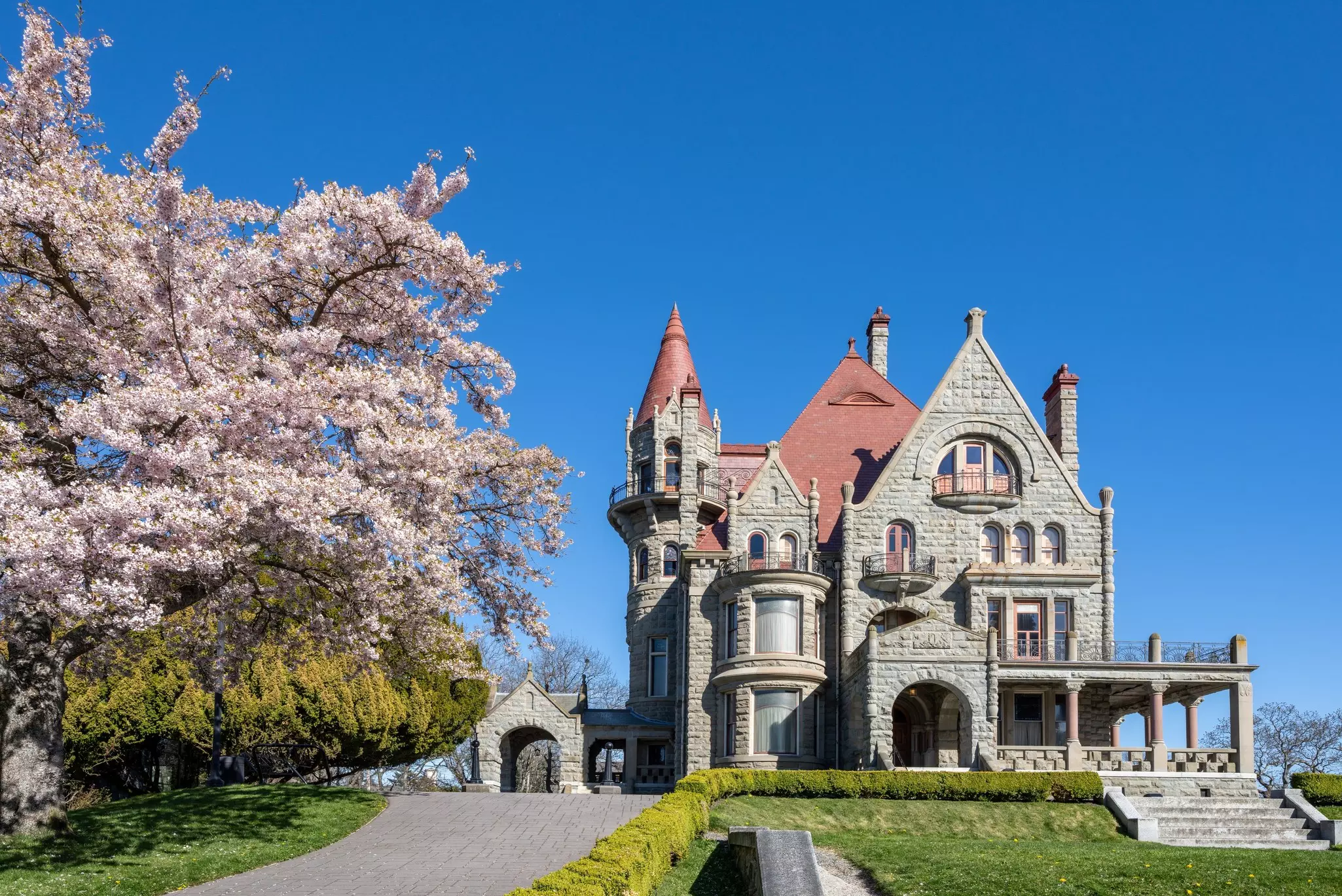 A Gothic-style stone mansion with a turret bathed in sunshine during the spring. A nearby tree erupts in pink blossom.