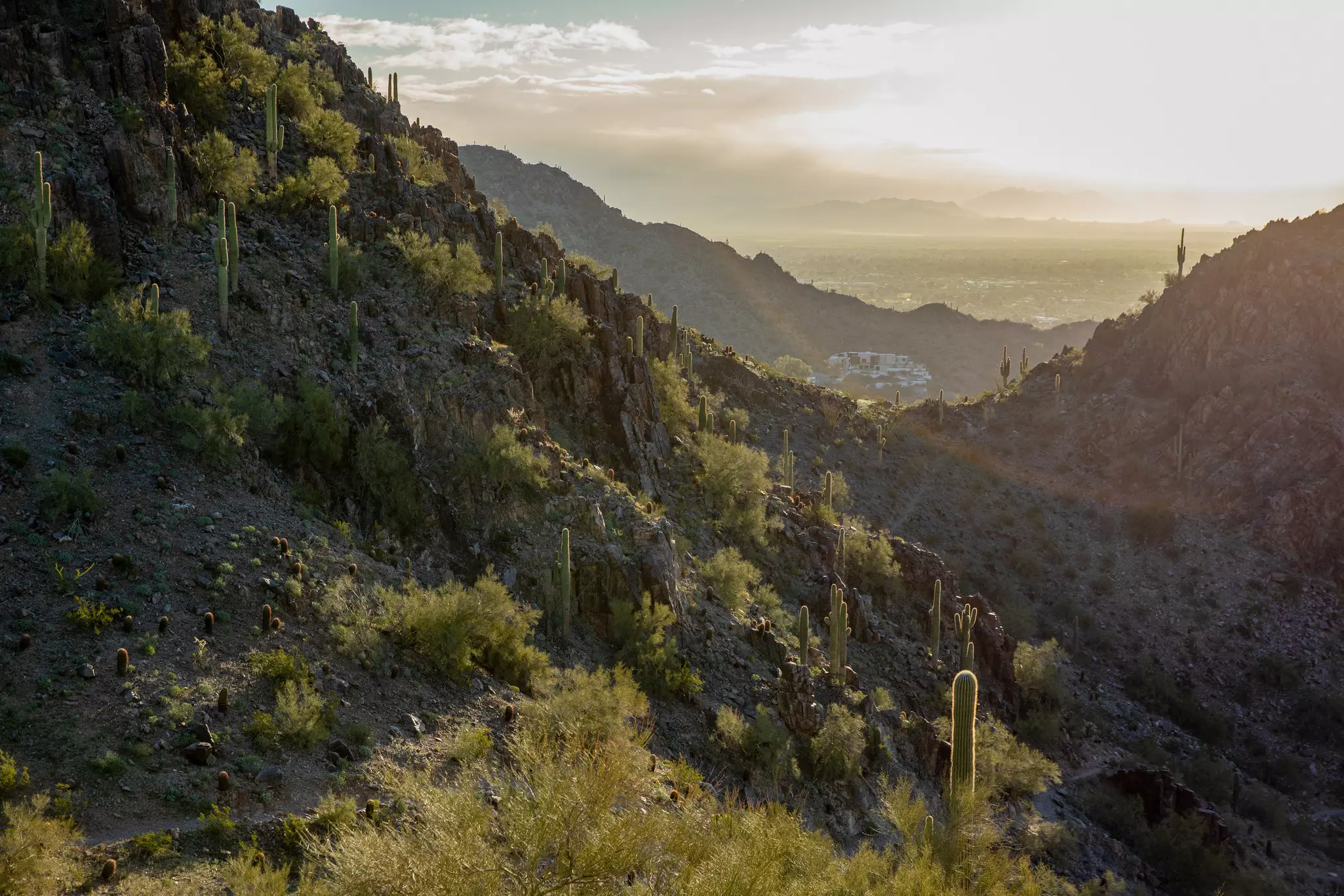Phoenix Mountain Preserve