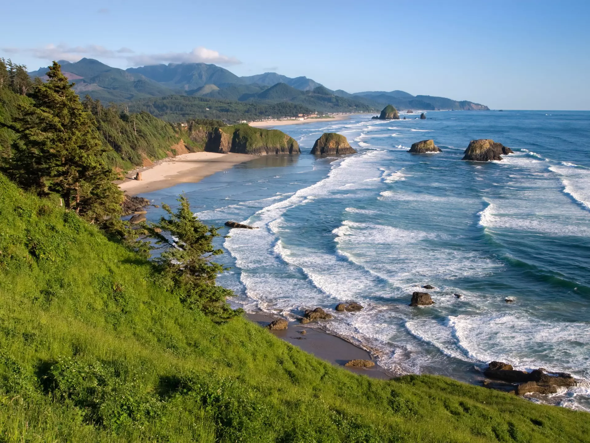 Cannon Beach viewed from Ecola State Park, Oregon. zschnepf/Shutterstock
