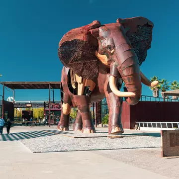 VALENCIA, SPAIN - DECEMBRE 3, 2018: The Bioparc zoo of Valencia, Spain