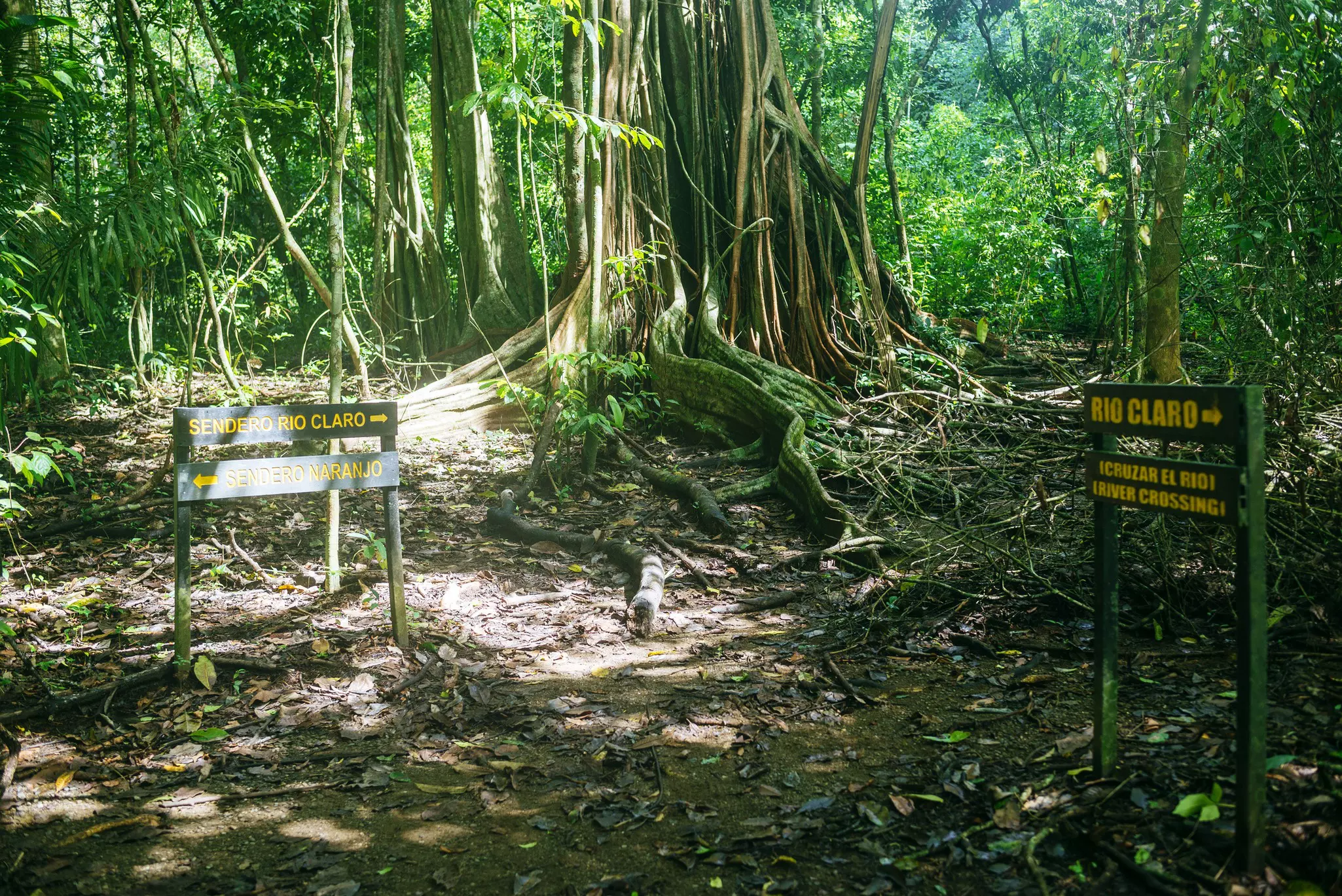 Signs on the roads of Corcovado National Park, Costa Rica