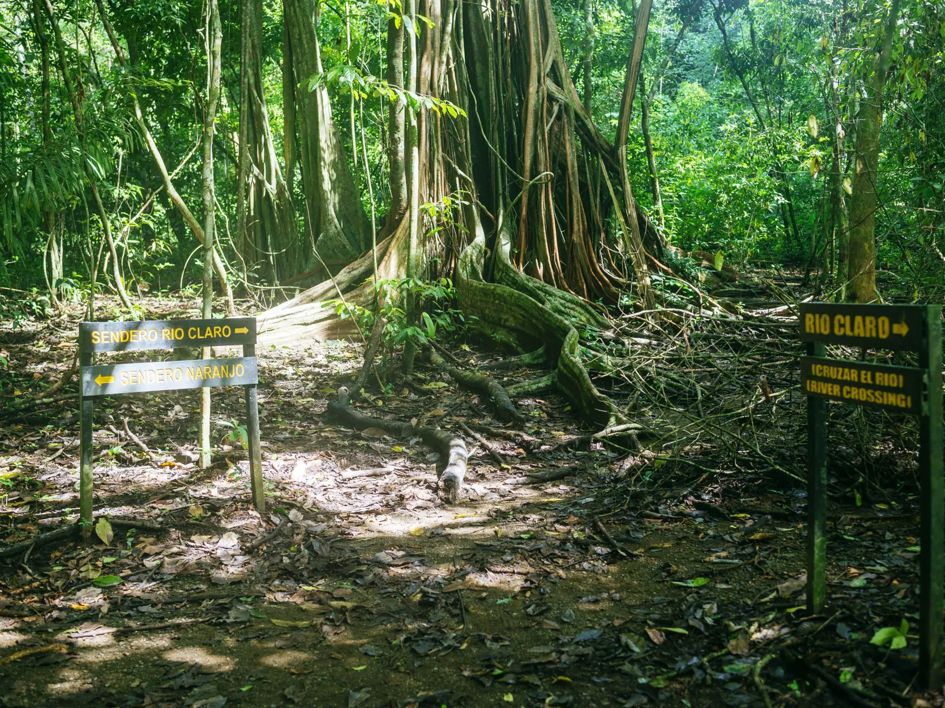 Signs on the roads of Corcovado National Park, Costa Rica
