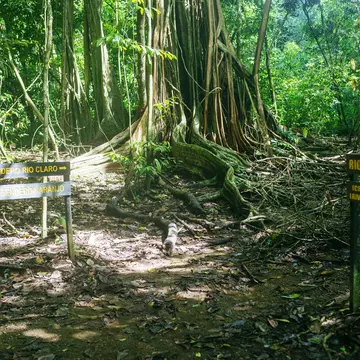 Signs on the roads of Corcovado National Park, Costa Rica