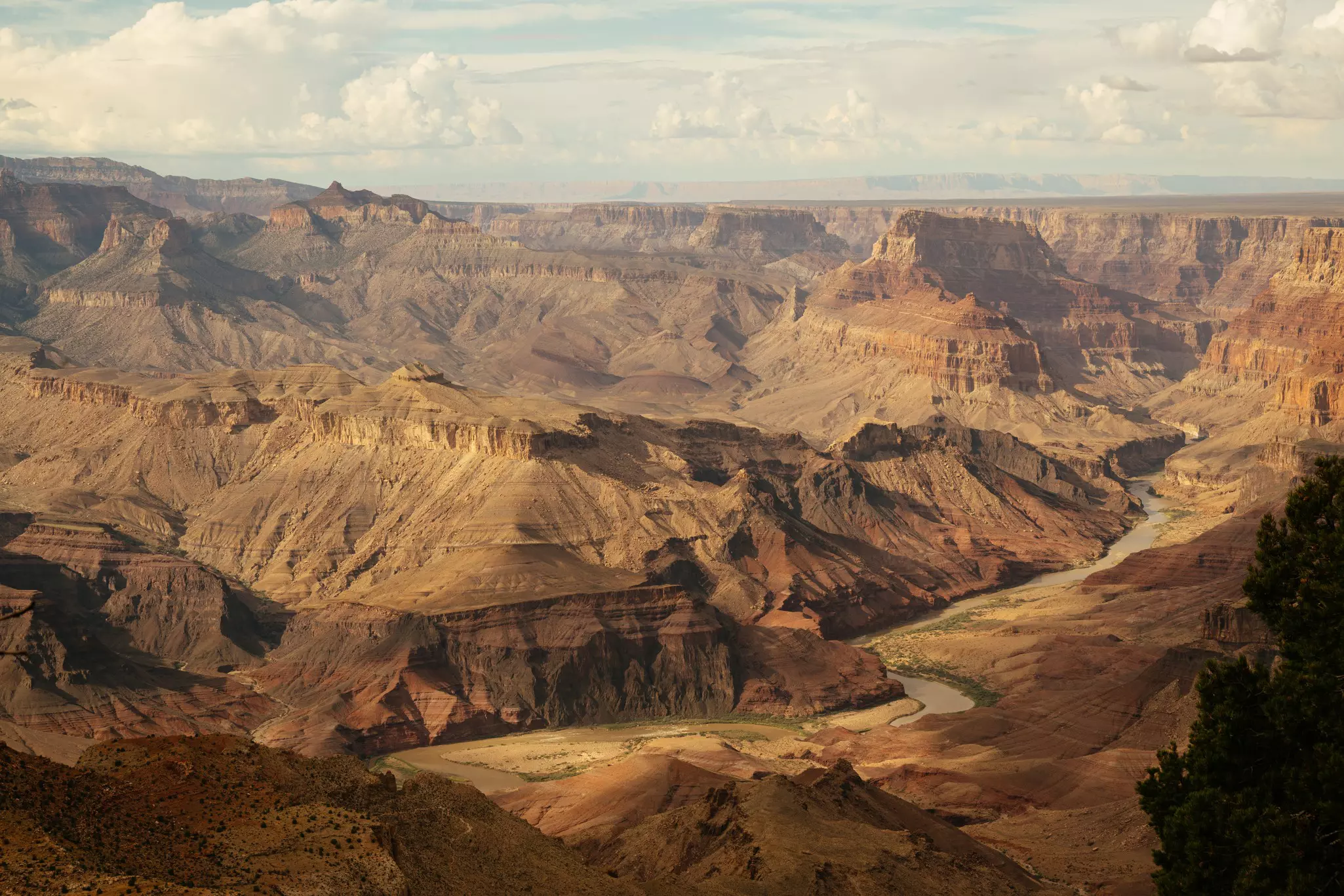 A view over the varied colors of Grand Canyon National Park, USA.