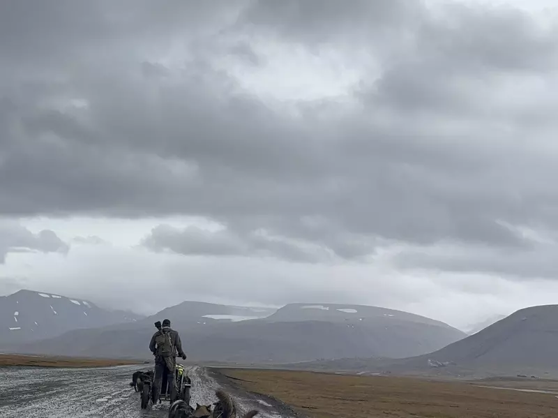 Dog sledding through Svalbard.