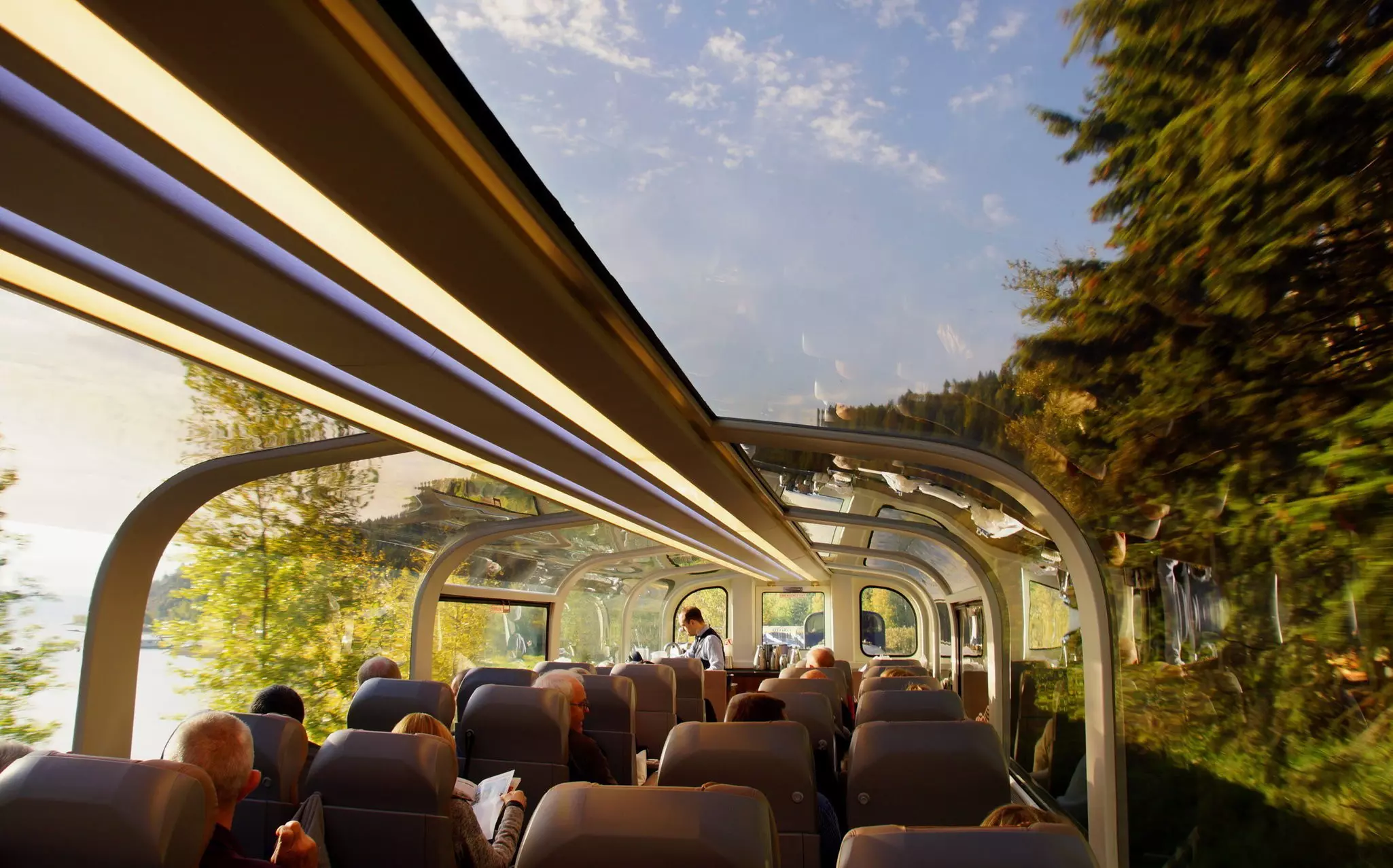 A view of people sitting in a glass-topped car of a train. Forested scenery is visible on either side of the train.