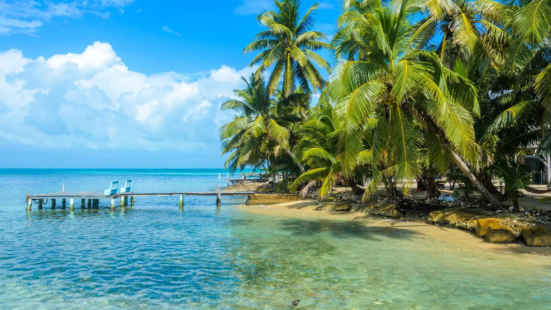 Tobacco Caye, Belize. Simon Dannhauer/Shutterstock