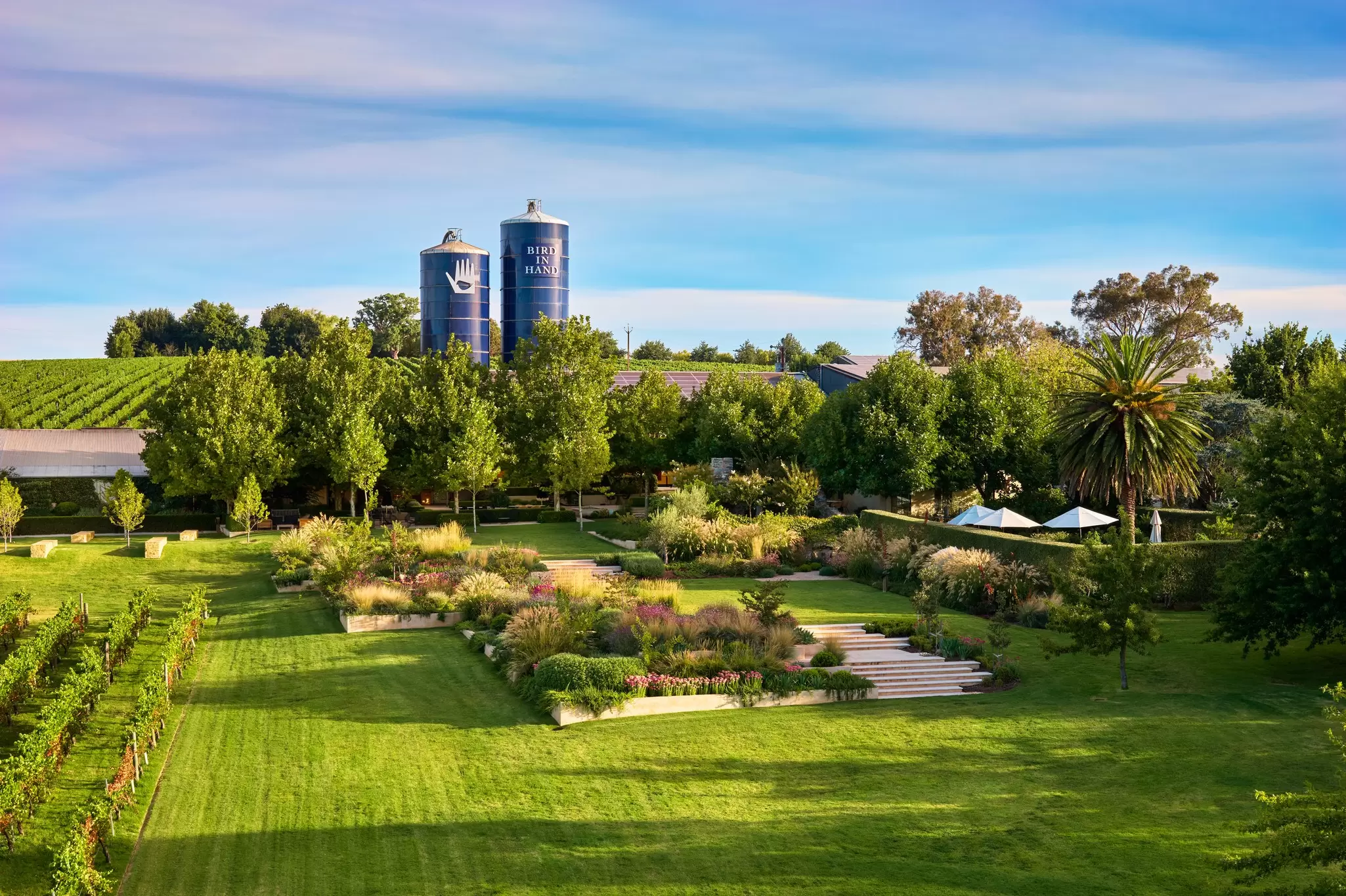 Pickup images via Pia
For sponsored article: How to plan a South Australia wine vacation
Credit: Bird in Hand