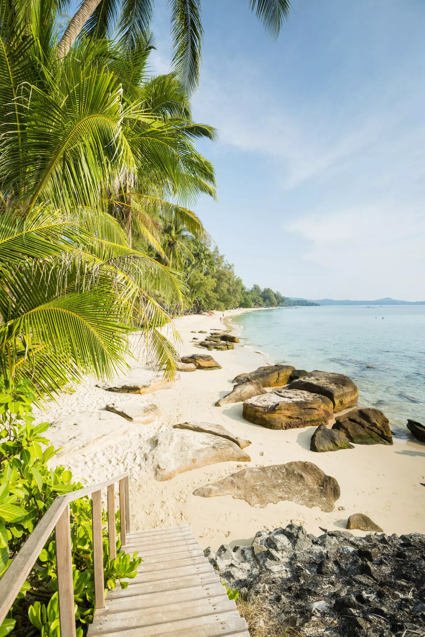 An empty sandy beach backed by palm trees