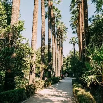 A path underneath the palm trees inside the National Garden of Athens.