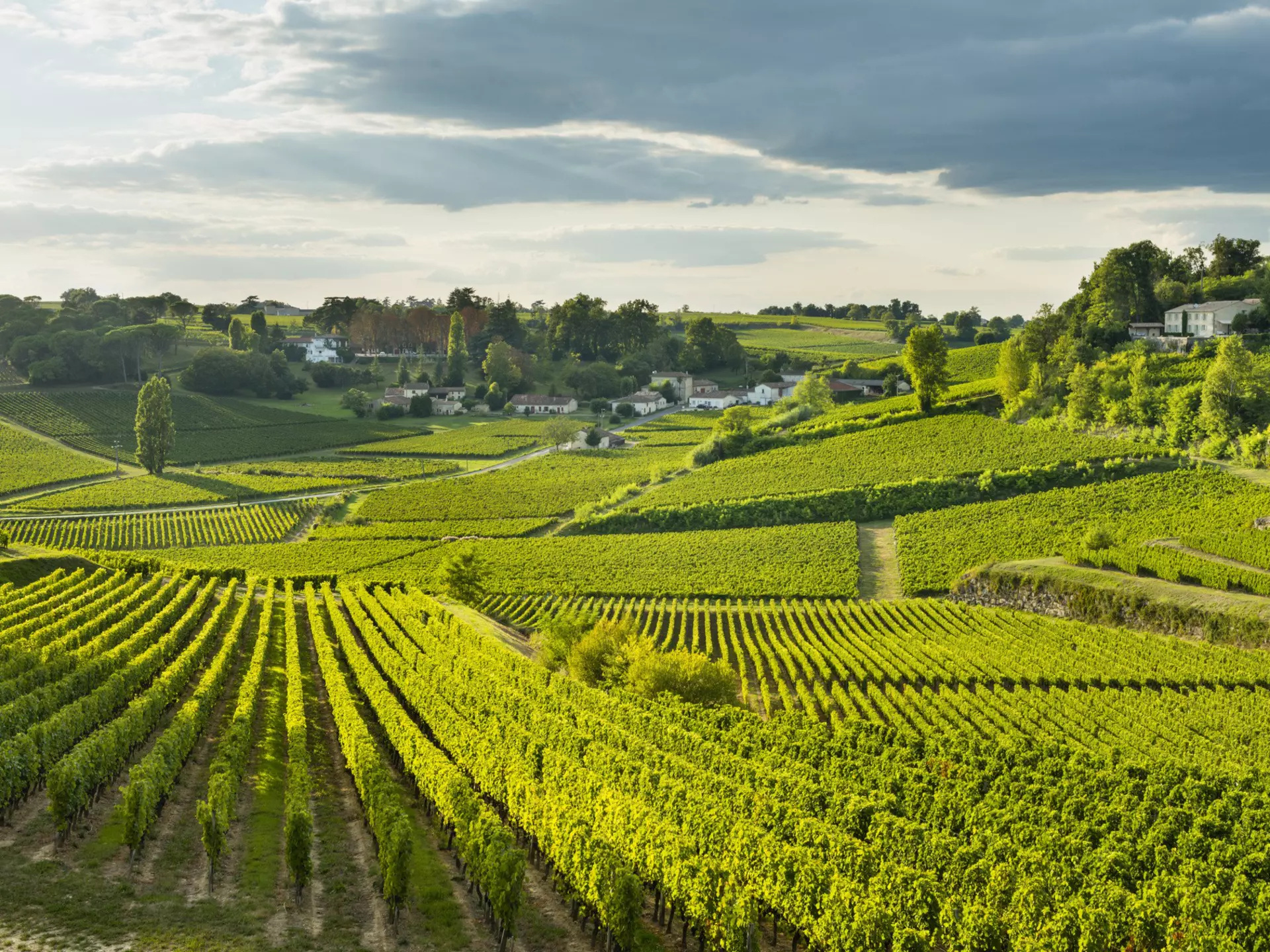 Some of the top wineries in the world are just a short ride by car or train from central Bordeaux. Justin Foulkes for Lonely Planet