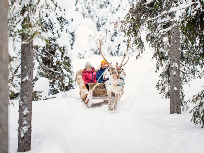 Family father and daughter on reindeer safari in winter forest in Lapland Finland