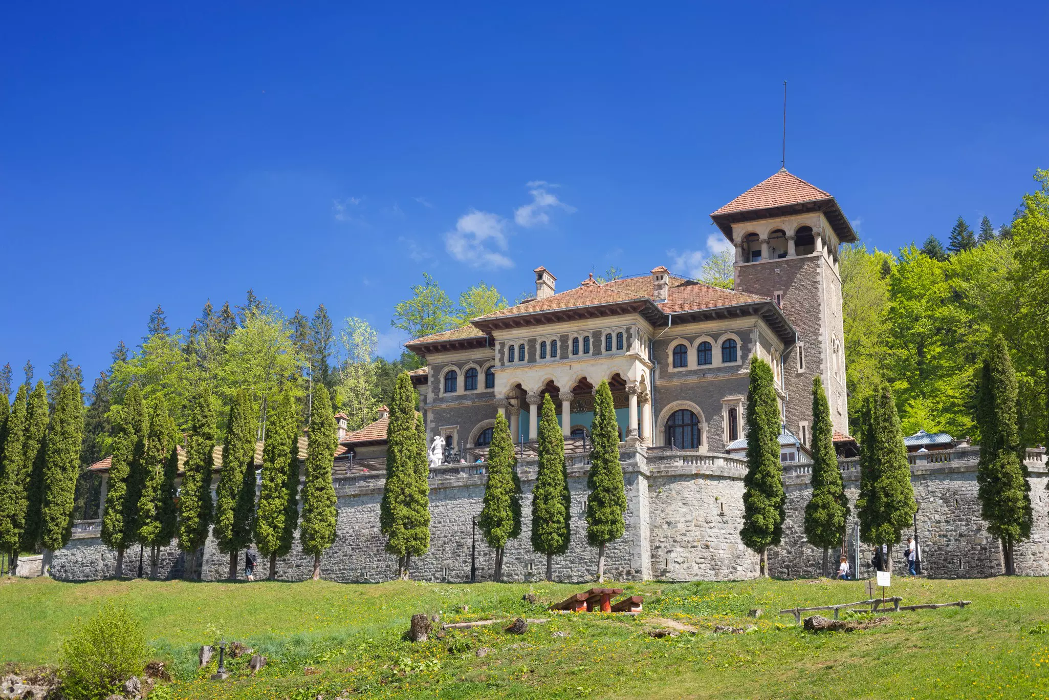 A large mansion house with a tower built on a hill.