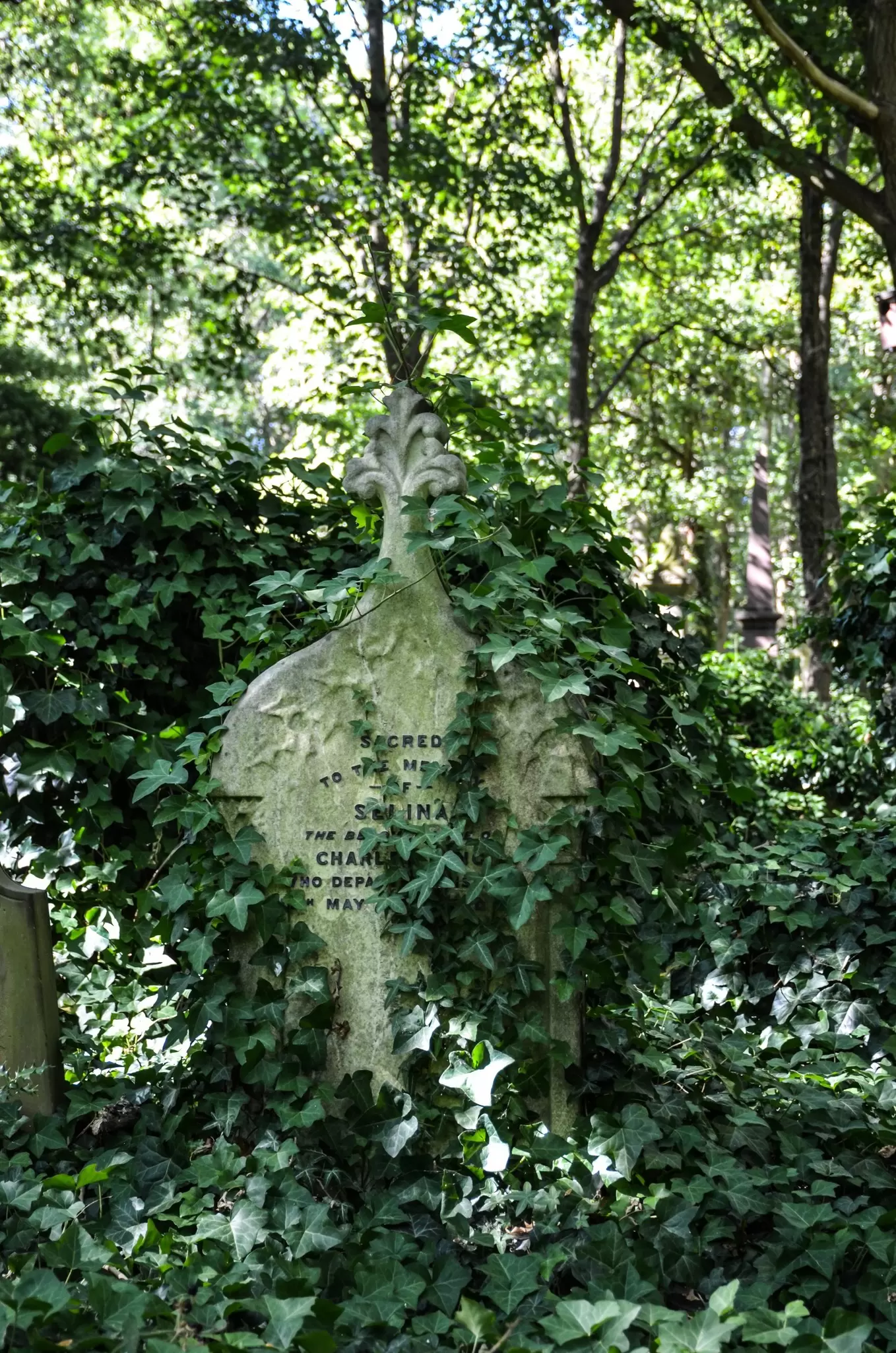 A gravestone covered in ivy at Highgate Cemetery in London, UK.