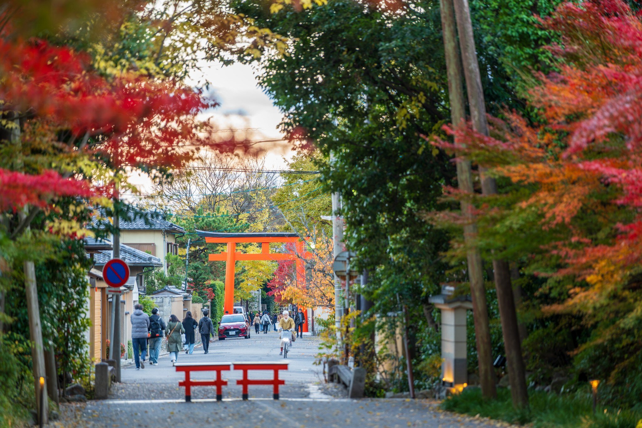 Kyoto, Japan - December 5 2024 : The beautiful autumn foliage along the approach to Shimogamo Shrine, also known as Kamo Mioya Jinja., License Type: media, Download Time: 2026-05-06T22:17:24.000Z, User: bhealy950, Editorial: true, purchase_order: 65050 - Digital Destinations and Articles, job: Lonely Planet Online Editorial, client: Best temples in Kyoto, other: Brian Healy