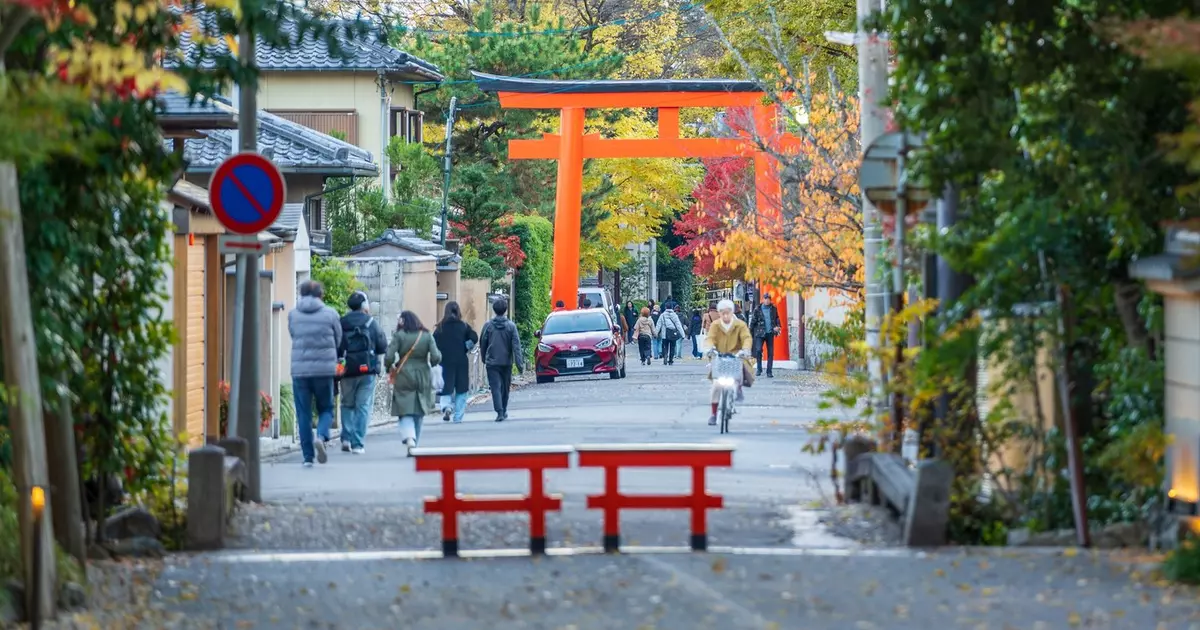 The ultimate guide to getting around Kyoto - Lonely Planet