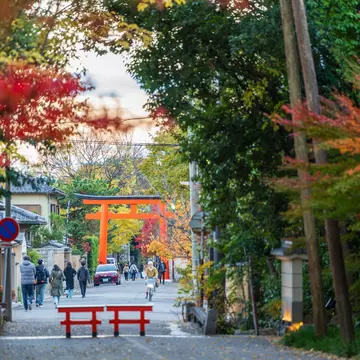 Red gates on a path lined with trees showing fall foliage