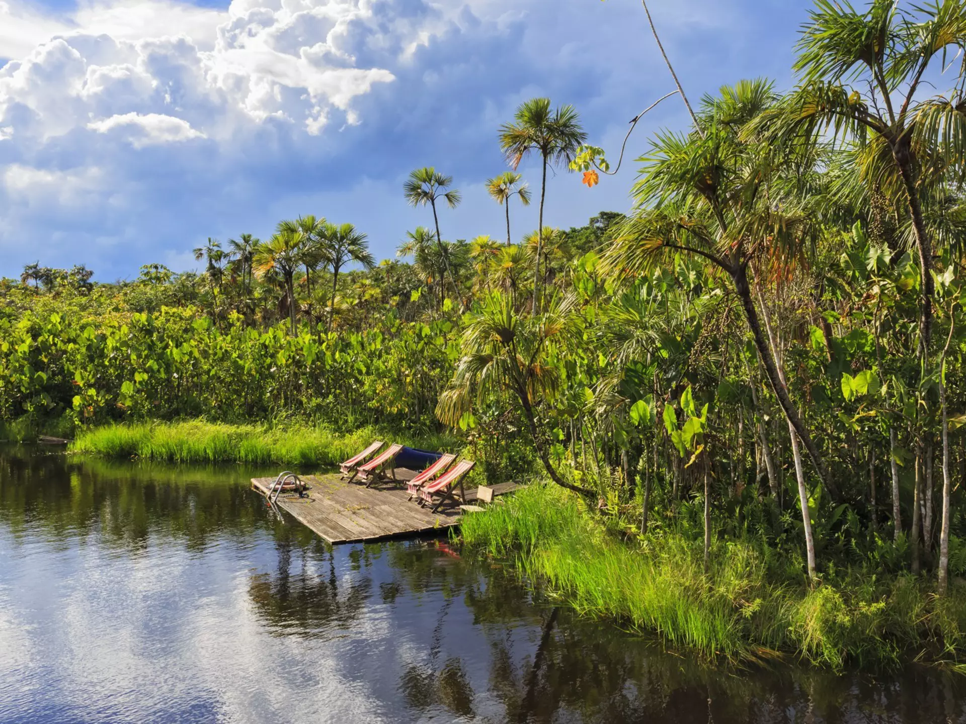 There are just two major seasons in Ecuador: wet and dry. But which one is right for the things you want to do? © Westend61 / Getty Images