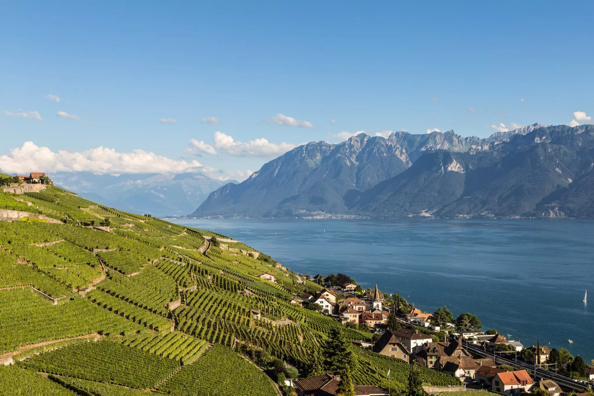 Vineyards in the famous Lavaux aera by lake Geneva in Switzerland. Didier Marti / Getty Images