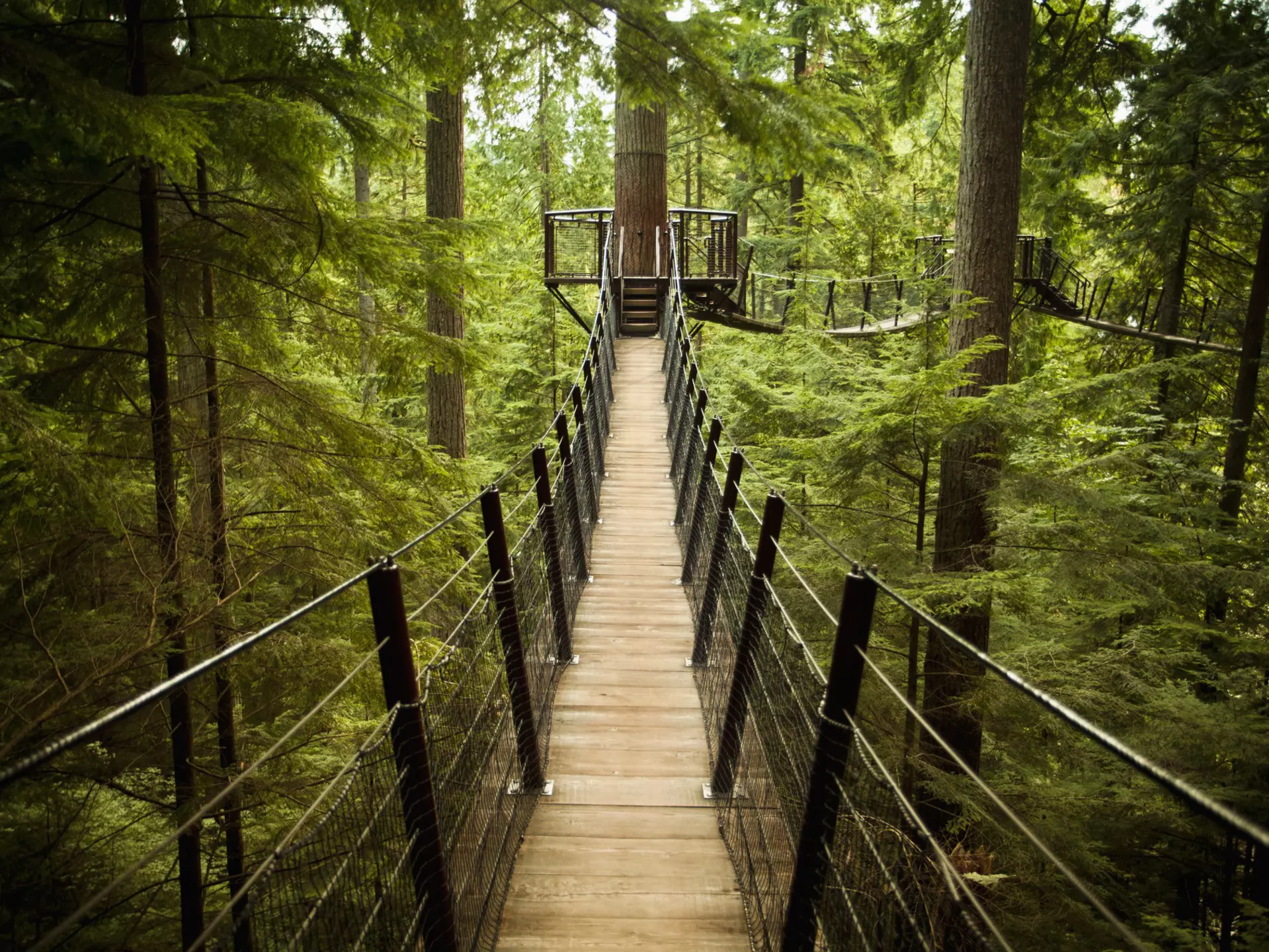  Capilano Suspension Bridge Park in North Vancouver, British Columbia. Pgiam/Getty Images