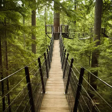  Capilano Suspension Bridge Park in North Vancouver, British Columbia. Pgiam/Getty Images