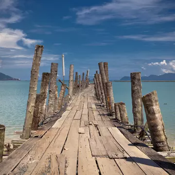 wooden pathway