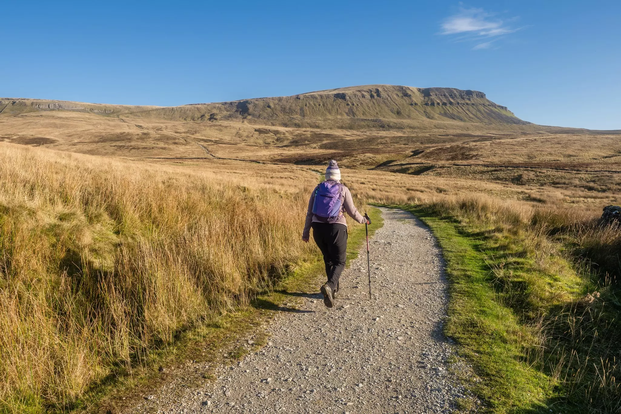 A hiker walking the trail to Pen-y-ghent in the Yorkshire Dales, England.