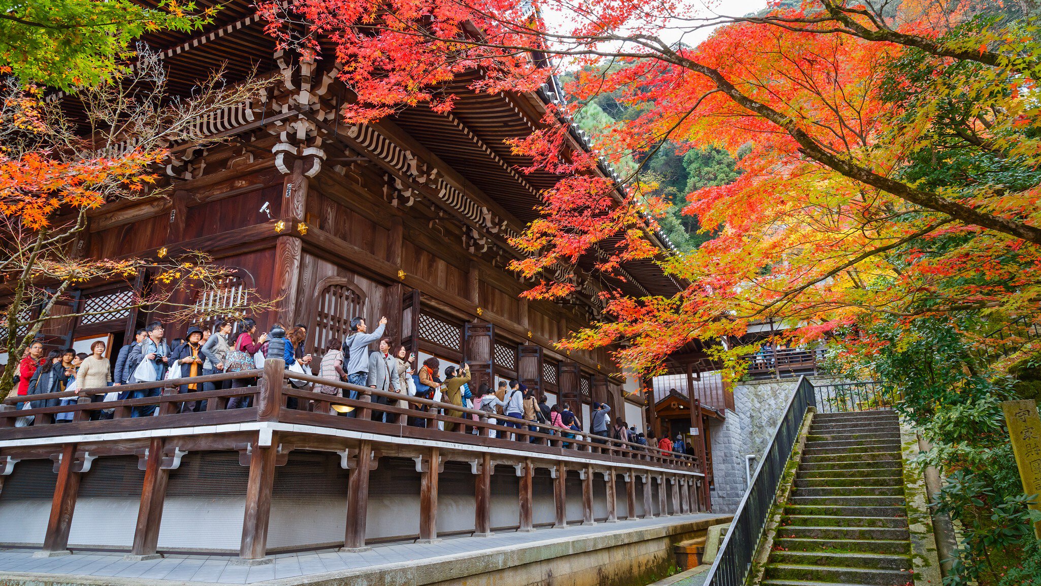 Kyoto, Japan - November 22 2015: Eikando (View of Eternity Hall) Zenrinji (Temple of Forest of Zen), founded in 853, houses a famous Amida statue which a Japanese important Cultural Property
612760626
Kinki Region, Buddha, Shinto, Buddhism, Scenics, Journey, Spirituality, Famous Place, Architecture, Nature, Outdoors, Japan, Asia, Tree, Autumn, Season, Shrine, momiji, Eikando
CLEARED FOR DIGITAL USE ONLY -