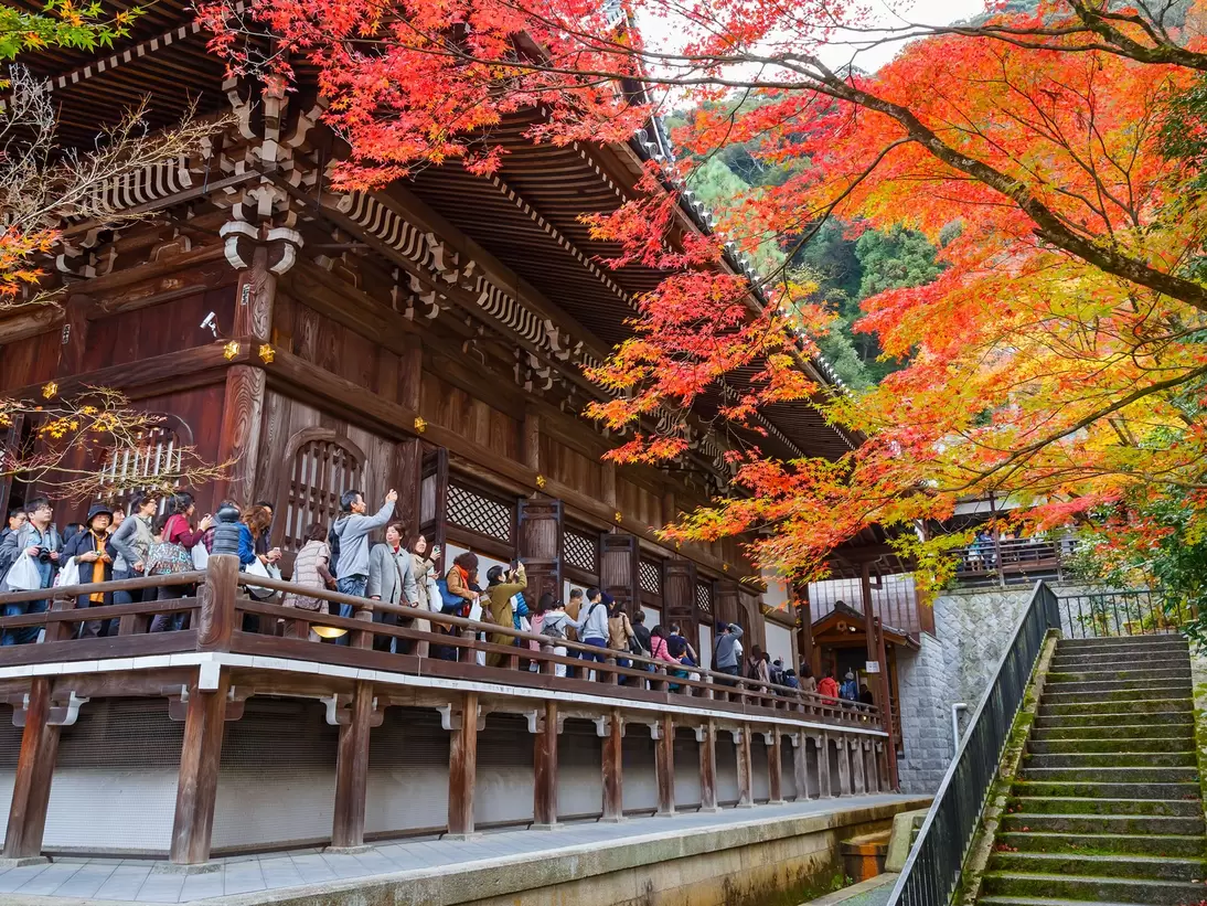 Kyoto, Japan - November 22 2015: Eikando (View of Eternity Hall) Zenrinji (Temple of Forest of Zen), founded in 853, houses a famous Amida statue which a Japanese important Cultural Property
612760626
Kinki Region, Buddha, Shinto, Buddhism, Scenics, Journey, Spirituality, Famous Place, Architecture, Nature, Outdoors, Japan, Asia, Tree, Autumn, Season, Shrine, momiji, Eikando
CLEARED FOR DIGITAL USE ONLY -