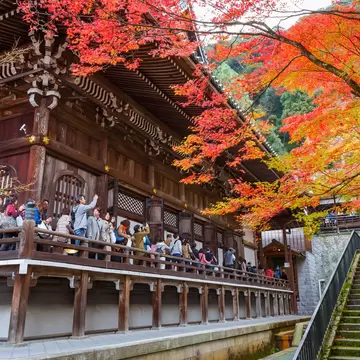 Kyoto, Japan - November 22 2015: Eikando (View of Eternity Hall) Zenrinji (Temple of Forest of Zen), founded in 853, houses a famous Amida statue which a Japanese important Cultural Property
612760626
Kinki Region, Buddha, Shinto, Buddhism, Scenics, Journey, Spirituality, Famous Place, Architecture, Nature, Outdoors, Japan, Asia, Tree, Autumn, Season, Shrine, momiji, Eikando
CLEARED FOR DIGITAL USE ONLY -
