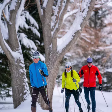 Nordic classic track at White Pine Touring.
