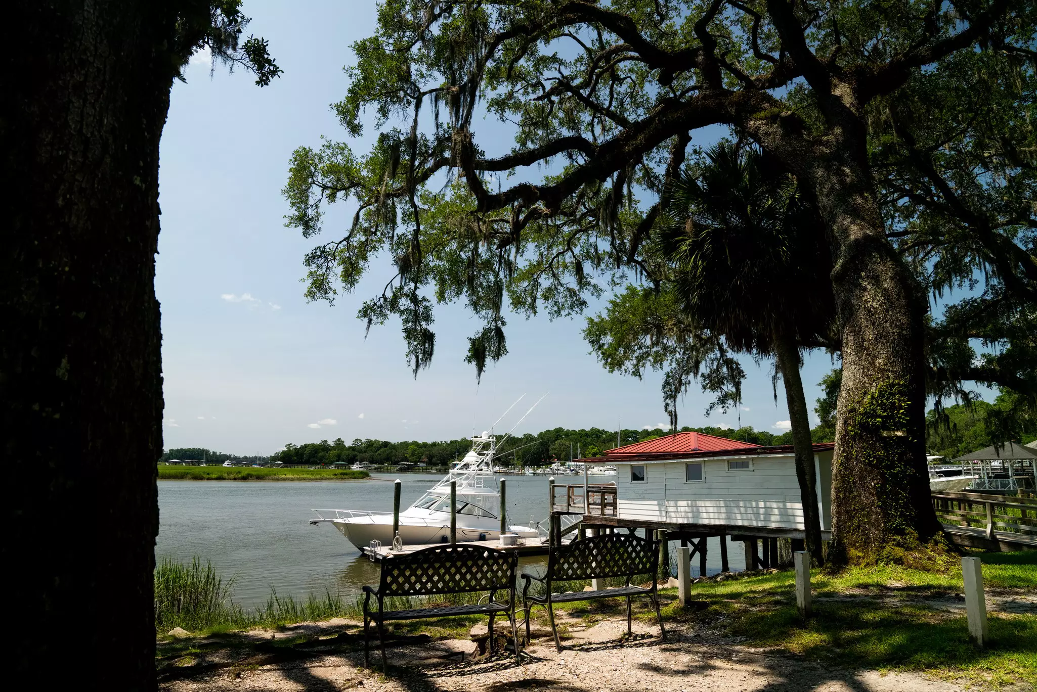 The Bluff on Isle of Hope, Savannah, GA, with boats, water and trees