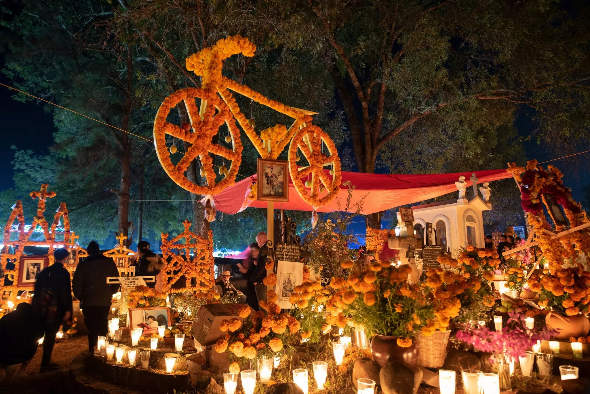 Marigold decorations in a Michoacan cemetery