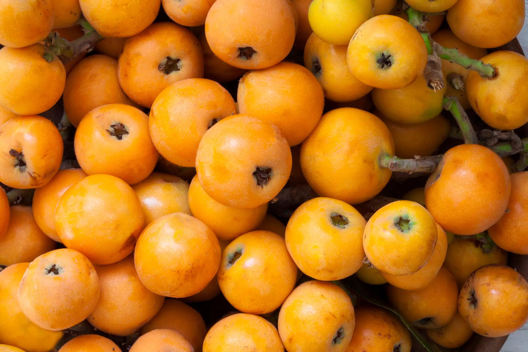 fresh loquats
538577574
Loquat, Healthy Eating, No People, Seasoning, Small Group of Objects, Large Group of Objects, Group of Objects, Vegetarian Food, Gourmet, Copy Space, Raw Food, Organic, Color Image, Harvesting, Snack, Backgrounds, Freshness, Growth, Yellow, Orange Color, Green Color, Full, Heap, Agriculture, Food And Drink, Nature, Selective Focus, Outdoors, Full Frame, Still Life, Horizontal, Close-up, Fruit, Leaf, Lush Foliage, Seed, Ripe, Tree, Springtime, Sweet Food, Food, Vegan Food
Loquat Fruit