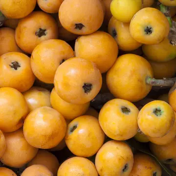 fresh loquats
538577574
Loquat, Healthy Eating, No People, Seasoning, Small Group of Objects, Large Group of Objects, Group of Objects, Vegetarian Food, Gourmet, Copy Space, Raw Food, Organic, Color Image, Harvesting, Snack, Backgrounds, Freshness, Growth, Yellow, Orange Color, Green Color, Full, Heap, Agriculture, Food And Drink, Nature, Selective Focus, Outdoors, Full Frame, Still Life, Horizontal, Close-up, Fruit, Leaf, Lush Foliage, Seed, Ripe, Tree, Springtime, Sweet Food, Food, Vegan Food
Loquat Fruit