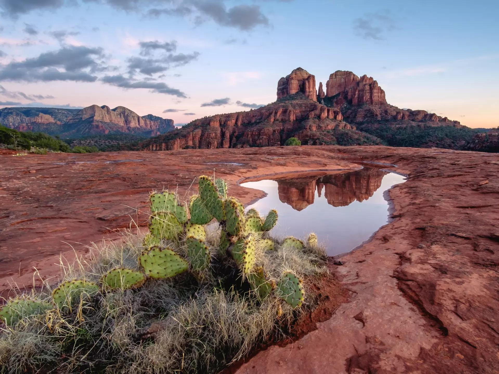 Cathedral Rock in Sedona, Arizona. Matthew Noll/Shutterstock