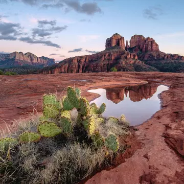 Cathedral Rock in Sedona, Arizona. Matthew Noll/Shutterstock
