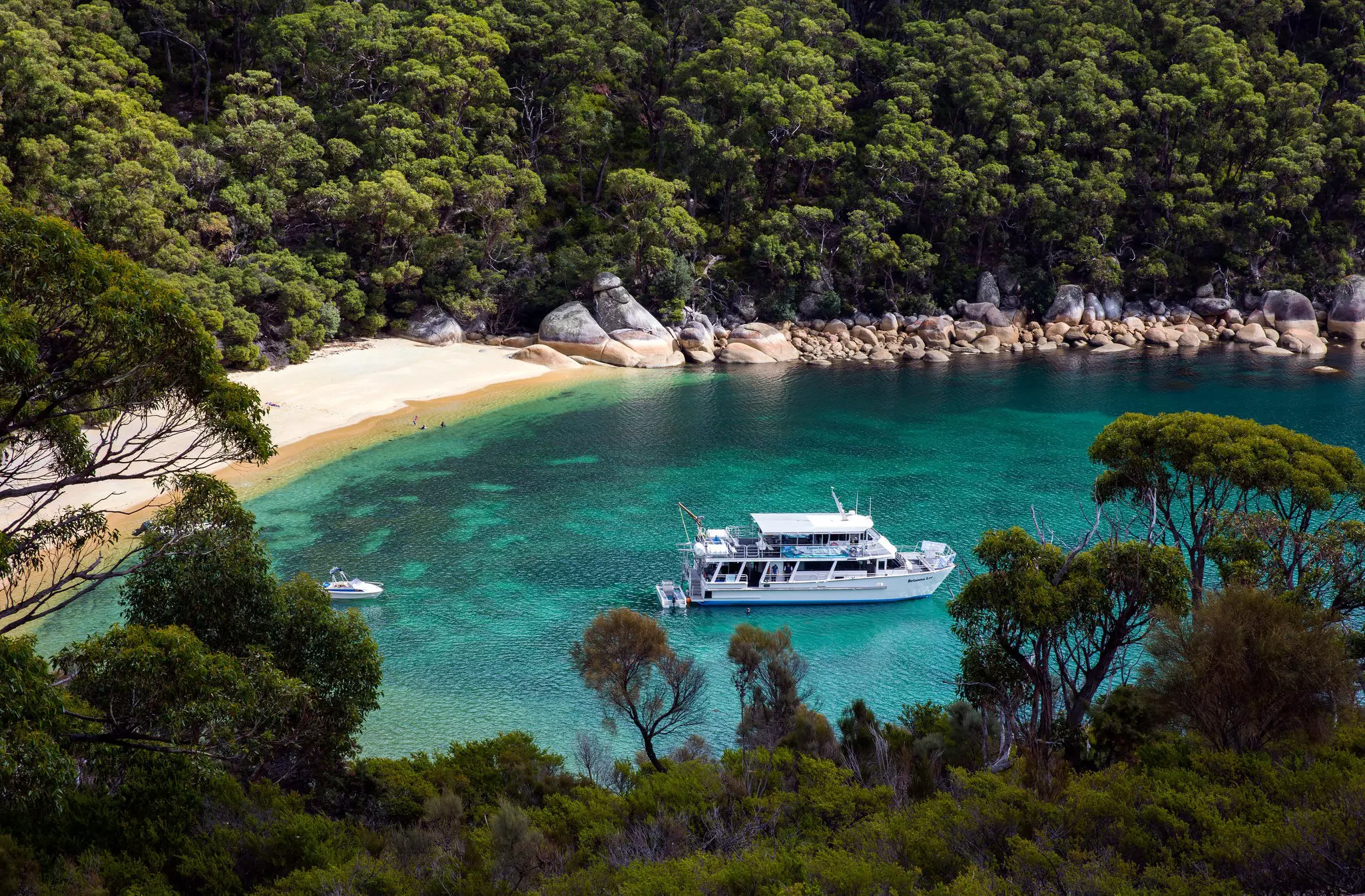An aerial shot of Refuge Cove: a white passenger boat bobs in turquoise water next to a thin strip of white sand that is surrounded by dense forest