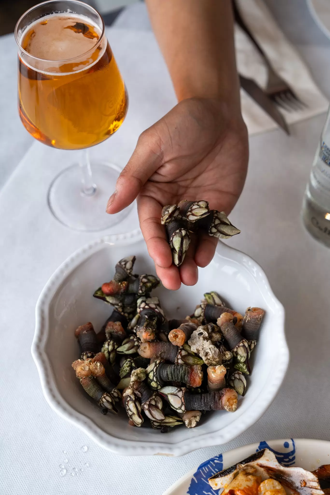 Hand picking a gooseneck barnacle from a white bowl of percebes beside a glass of amber beer on a white tablecloth